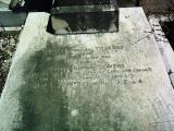 image of grave number 330613